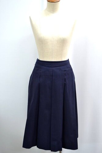  ����size W76 �����s �Ռ��w�����w�Z�����w�Z �ăX�J�[�g Tamae Hirokawa ��SA6087