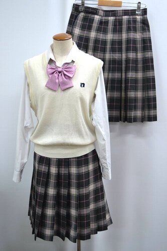  ���傫�� �����s ����旧 ���쒆�w�Z �ĕ� �~�X�J�[�g ��SA6115