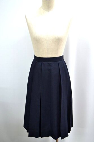  ����ʌ� �Y�a���̐����q���w�Z �ăX�J�[�g ISETAN ��SA6120