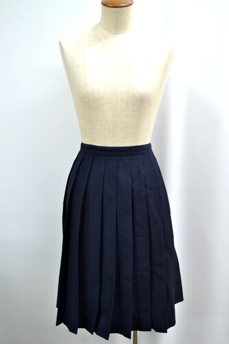  �Z��size W79 �Q�n���� �ɐ��萴�������w�Z �ăX�J�[�g ����6392