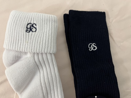 [�s��] �K�[���X�J�E�g�@�w��\�b�N�X�@�C���@���ƍ��@2���Z�b�g