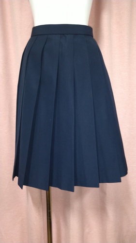 �R���� No.206  ���������w�Z  �傫��size 16�q�_ �X�J�[�g �ĕ���