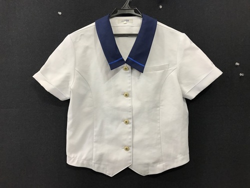  8819 �啪�� ���� ���Ó썂�Z ���{�^�� �ĕ� ���� �w��u���E�X �O�p�� �T�C�Y L
