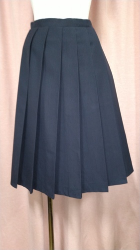 [�s��] No.211  �傫��size  16�q�_�X�J�[�g  �s���~����