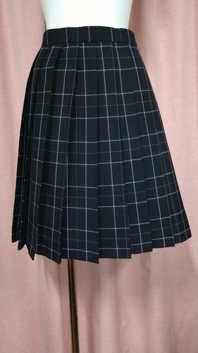 [�s��] No.209  �傫��size �`�F�b�N�~�j�X�J�[�g �s���ĕ���