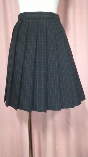 [�s��] No.221  �傫��size �`�F�b�N�~�j�X�J�[�g �s���ĕ���