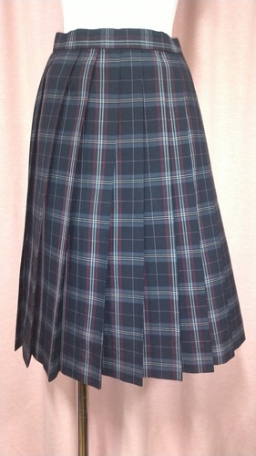 [�s��] No.220  �傫��size �}�[�N���� �`�F�b�N�X�J�[�g �s���ĕ���