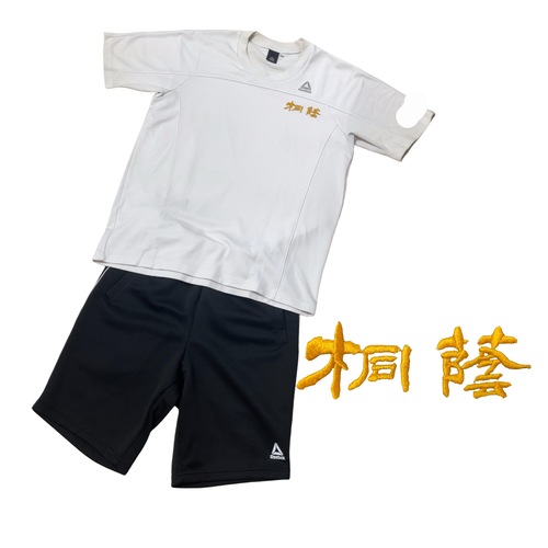 �a�̎R�� �a�̎R�����ˈ������w�Z�@�΍��l68 �̑����@T�V���c�@�Z�p��