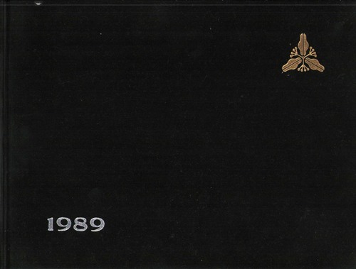 �򕌌� 1989�N�@��򐐘Q�����w�Z�@���ƃA���o�� ���A�� �A389�