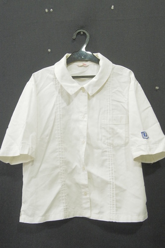  9842k ������T�C�Y�� �������� ���� �������Z �ĕ� ���� �w��u���E�X �T�C�Y5L �n�g�T�N���� ���q����