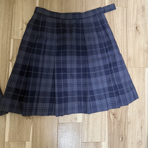 �_�ސ쌧 SK-1 ���s���k�����w�Z �~���E�ĕ��X�J�[�g2�_�Z�b�g