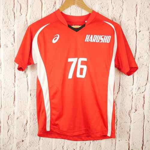 ���m�� 2320�@HARUSHO�@�̑�����@160�T�C�Y