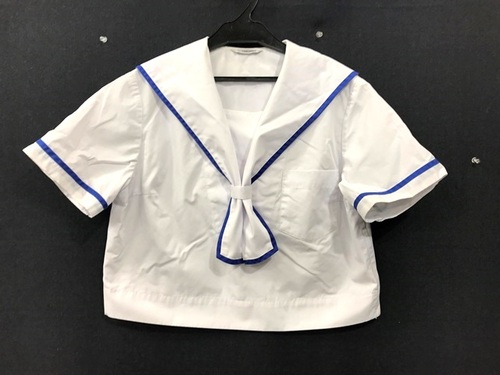  9950 �傫���T�C�Y LL���x �F�{�� �F�y�s���ߏ钆�w �u���[���C�� �ĕ� ���� �w��Z�[���[�� �V�`�R ��