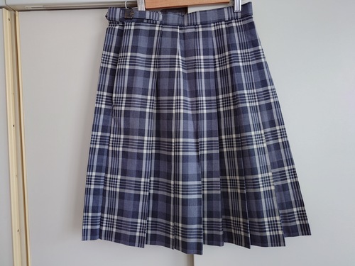 [�s��] �`�F�b�N�� �~�X�J�[�g �E�G�X�g60�A��53