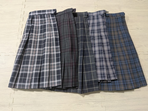 [�s��] 8-98�������̃`�F�b�N�̃X�J�[�gMIX5���Z�b�g�����̗����w�Z��