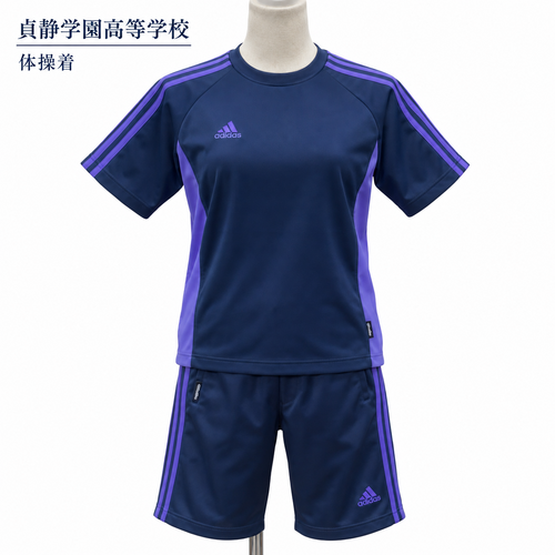 �����s ��Êw�������w�Z�@�̑����@adidas T�V���c�@�Z�p��