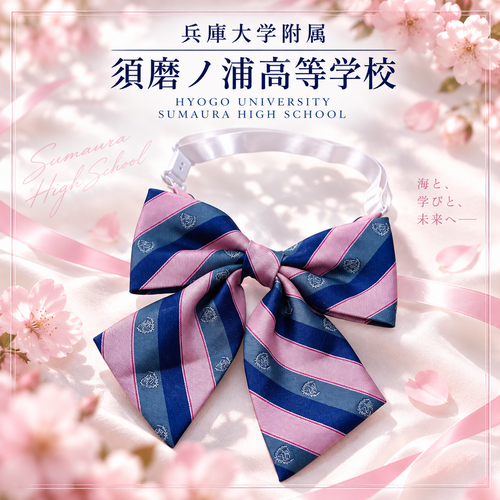 ���Ɍ� ���ɑ�w�����{���m�Y�����w�Z�@�o���G�[�V�������{���@��