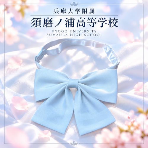 ���Ɍ� ���ɑ�w�����{���m�Y�����w�Z�@���{���@�^�����@�������J���[