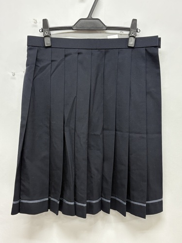  0360r �֓�����? �s�� ���w ���Z ���q���� �v���[�c�X�J�[�g ���C������ W�V�T �g���{��