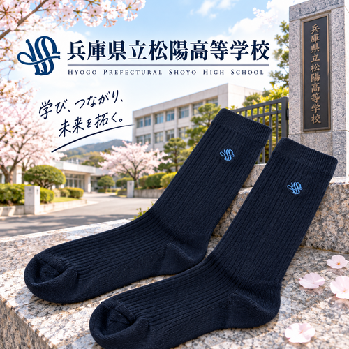 ���Ɍ� ���Ɍ������z�����w�Z�@�n�C�\�b�N�X�@���n�ɐ��F�h�J
