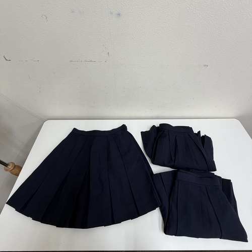 ���m�� ���m�������É��썂���w�Z ������ �X�J�[�g �P�i [101004s]