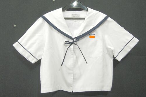  0447k �{�茧 ���юs�� �������w �ĕ� ���� �w��Z�[���[�� �T�C�YL ���q����