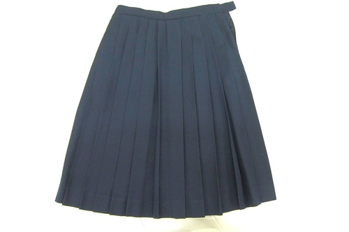  0465k �֓����� �s�� ���w �~�� �v���[�c�X�J�[�g �T�C�YW69 ���q����