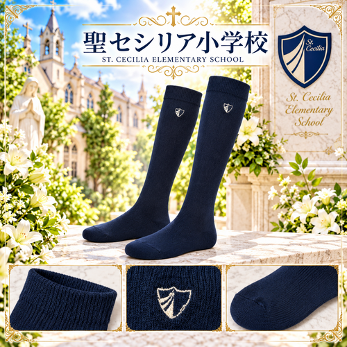 �_�ސ쌧 ���Z�V���A���w�Z�@�n�C�\�b�N�X�@22.5����24���炢