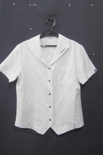  0609k �_�ސ쌧 ���� ���l���Z ���q�p �ĕ� �����u���E�X �T�C�YL �g���{�� ���q����