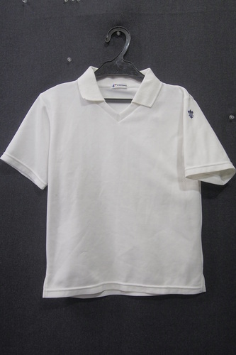  0657k �_�ސ쌧 ���� �Ó씒�S���w�����w�Z �y���q�Z�z �̑��� �̑��� �T�C�Y140 ���j�`�J��