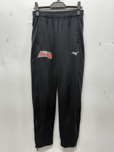  0724r �_�ސ쌧 ���� ���l���l���Z ���q�d���싅�� �w�� �W���[�W Mizuno�� �l�T�C�Y 