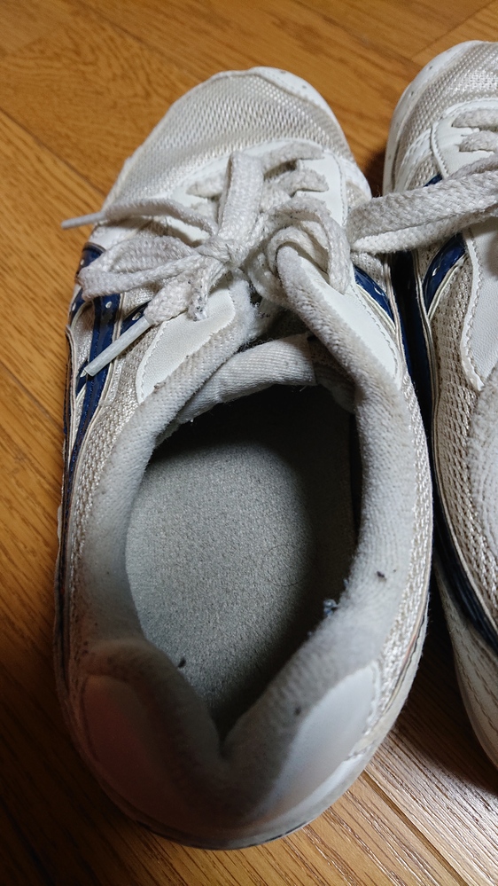 1604917750-1604917934.jpg