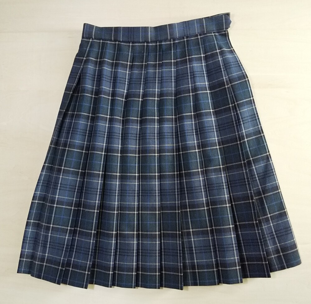 制服市場 - 東京都 私立 昭和女子大学附属 昭和女子高校 夏スカート