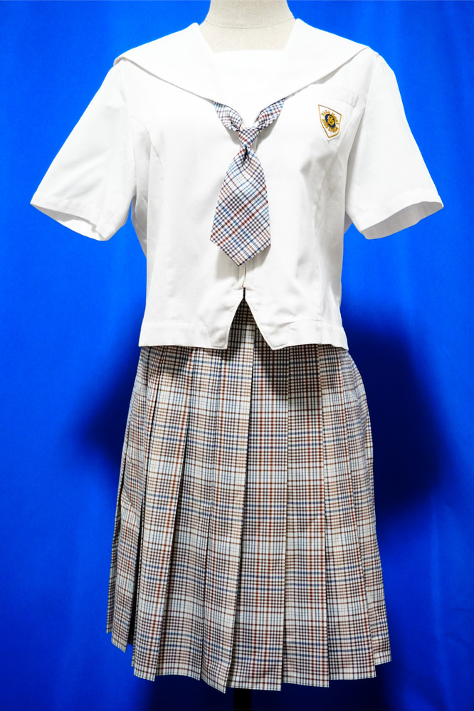 奈良県私立奈良女子高等学校 旧夏制服3点セット