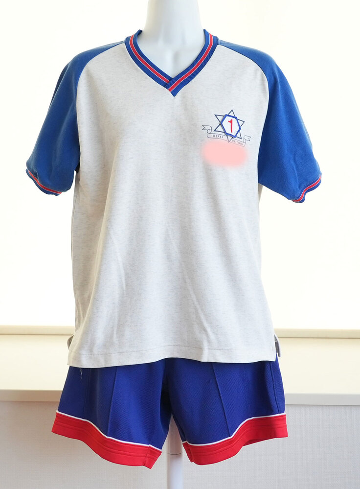 制服市場 大阪府 大阪市立茨田北中学校 体操服上下(サイズM) その2 女子制服卒業生の保管品