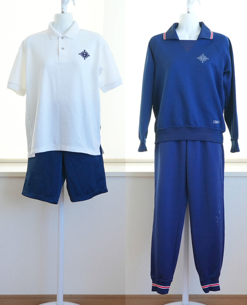 弘前第五中学校の昔の水色に白2本線のジャージ欲しいです 弘前第五中学校