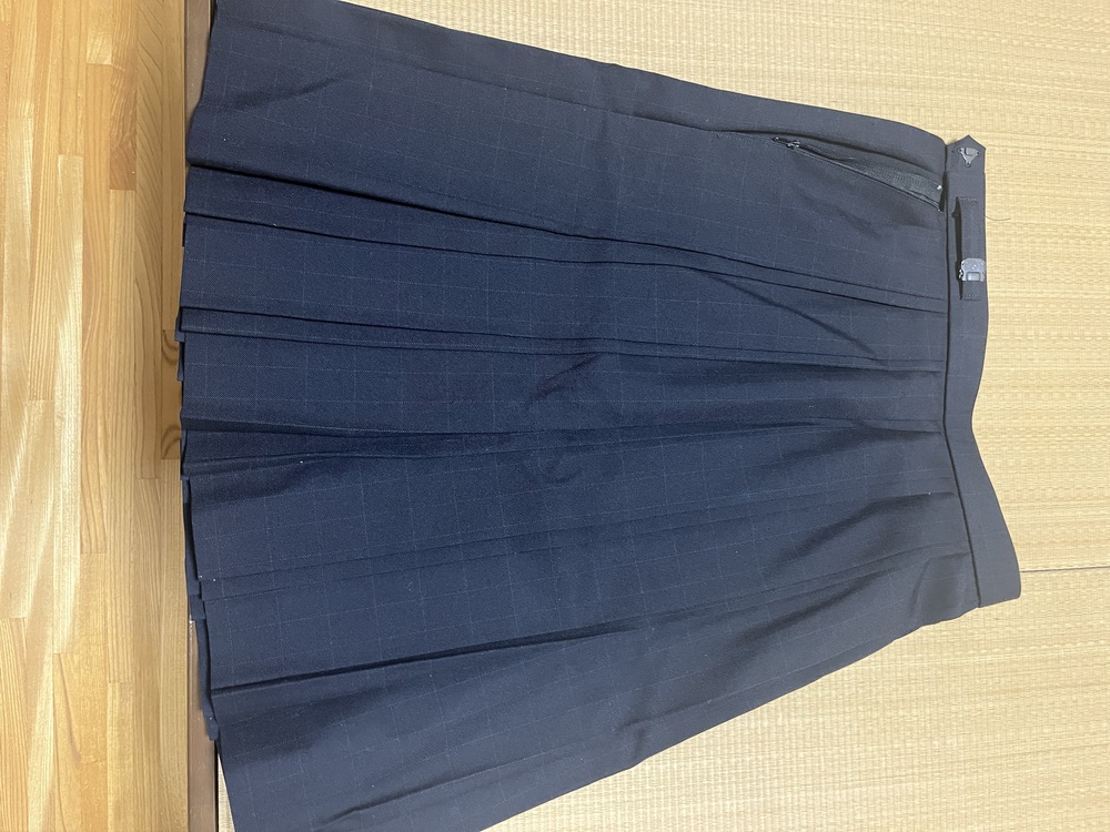 制服市場 愛知県 愛知県立衣台高校夏冬セット